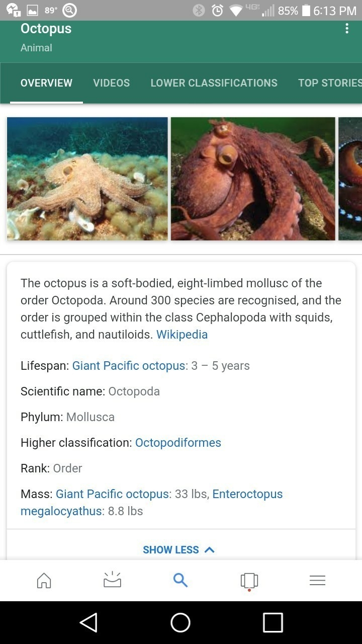 Please Help!!!!! ASAP!!!!! How does the Pacific Northwest Tree Octopus differ from-example-2