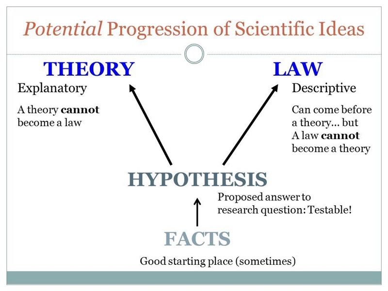 Compare and contrast between scientific theory,scientific law and scientific hypothesis-example-1