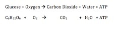 Why is 2 the correct answer???!!! I’m horrible at science. HELP ASAP!!!!!-example-1