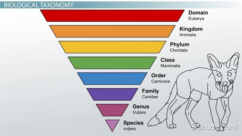 A key is a taxon. A. True B. False-example-1