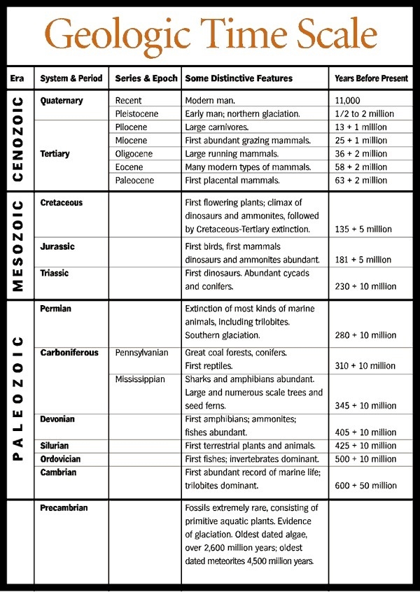 What do scientists use to describe the timing of events that occurred throughout Earth-example-1