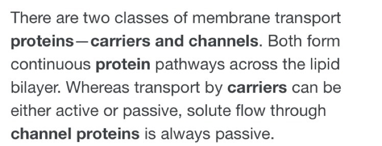 What is the difference in a carrier protein and a channel protein structure wise-example-1