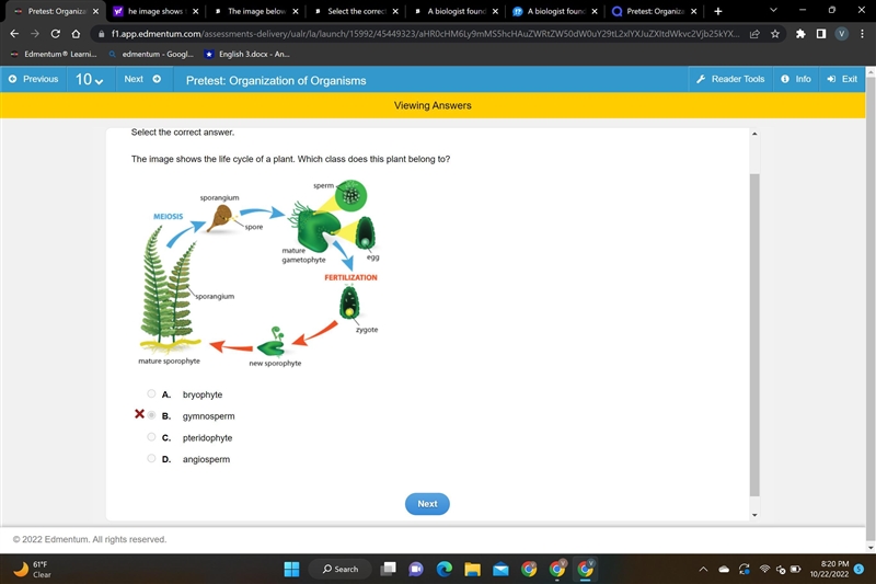 The image below shows the life cycle of a plant. Which class does this plant belong-example-1