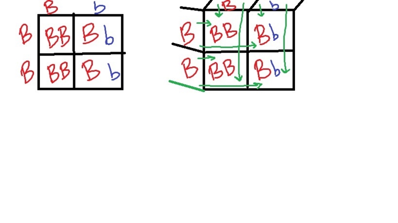 According to the Punnett square for this square,what percentage of offspring is predicted-example-1