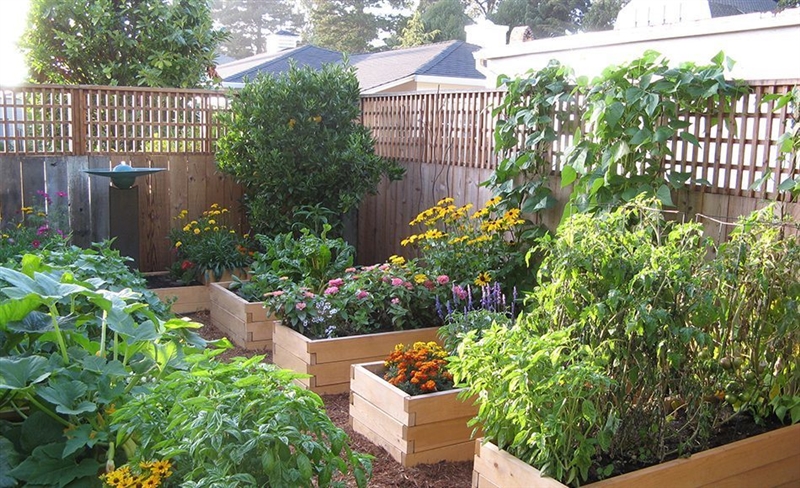 Important advantages to raised-bed gardens are that they conserve water and keep the-example-1