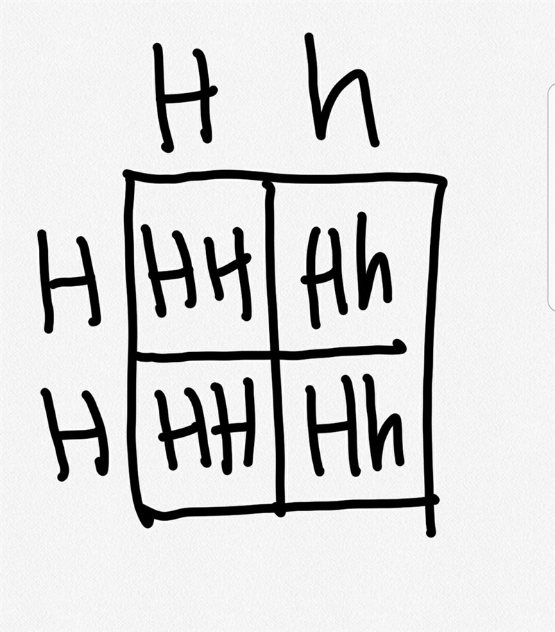 Why is it impossible from an individual to inherit a recessive condition if only one-example-1