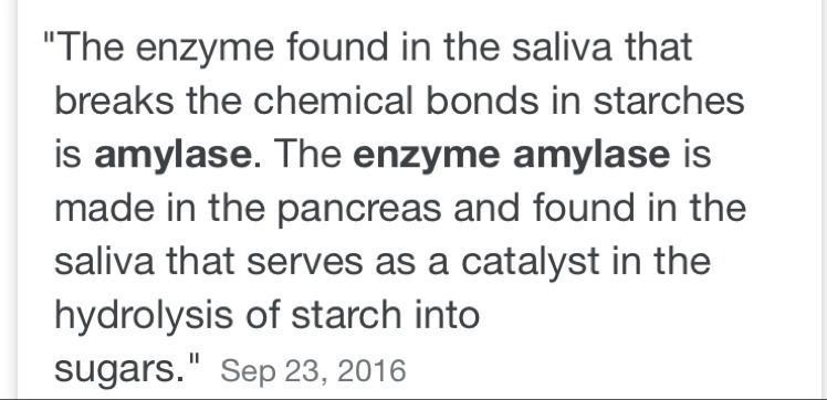 What enzyme found in saliva breaks chemical bond in stru-example-1