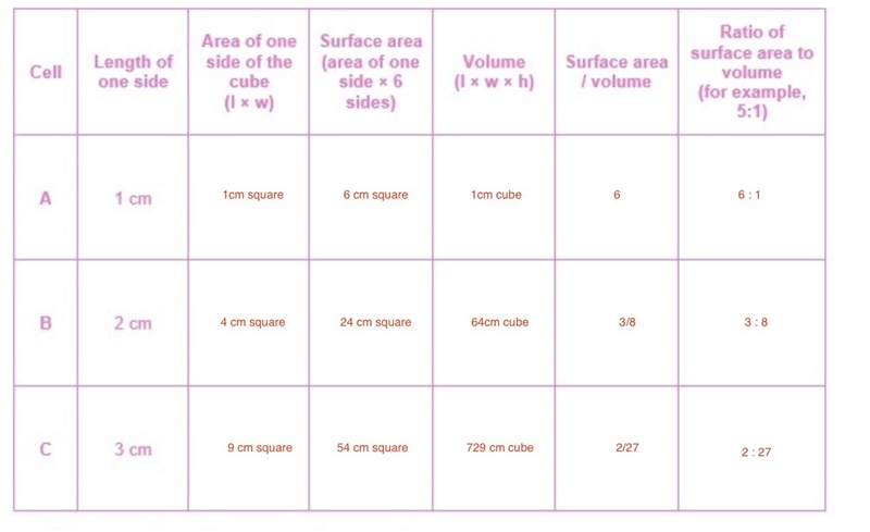 Please help. Thank You. Steps for the assignment and assignment are below. Please-example-1