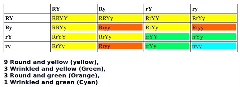 The traits studied in the experiments involving the crossing of pea plants are seed-example-1