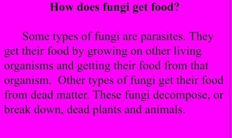 How do fungi get food-example-1