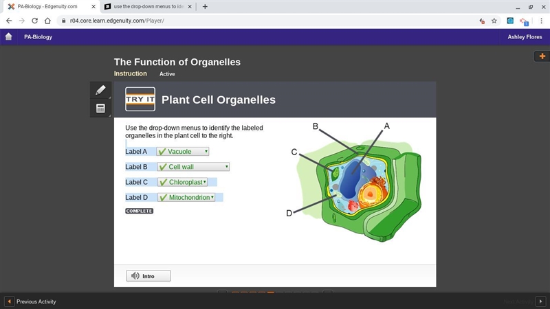 Use the drop-down menus to identify the labeled organelles in the plant cell to the-example-1