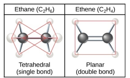 What determines whether a carbon atom's covalent bonds to other atoms are in a tetrahedral-example-1