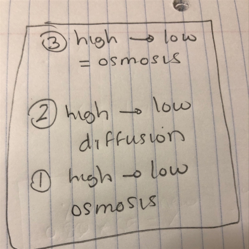 The diagrams below show what each solution would look like after a period of time-example-1