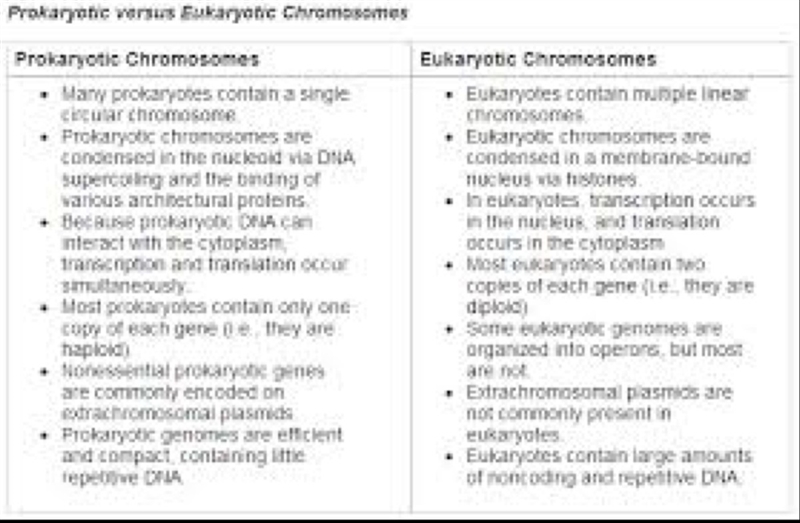 Differentiate between prokaryotic and eukaryotic cells-example-1