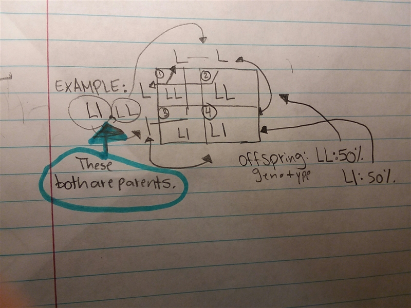 How to make punen square-example-1