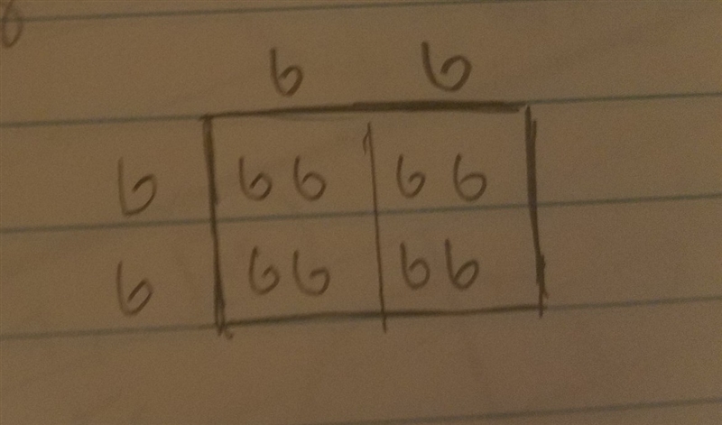 black fur b in guinea pigs is dominant over white fur b. find the probability of a-example-1