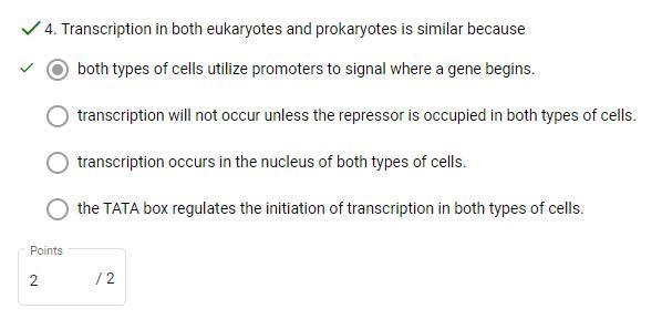 Transcription in both eukaryotes and prokaryotes is similar because A. Transcription-example-1