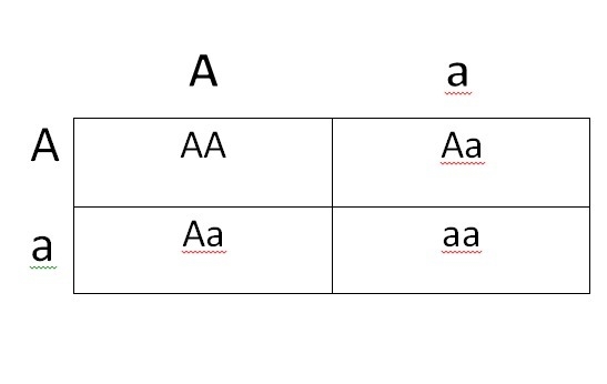 The two parent plants are the P generation, or parent generation. Create a Punnett-example-1