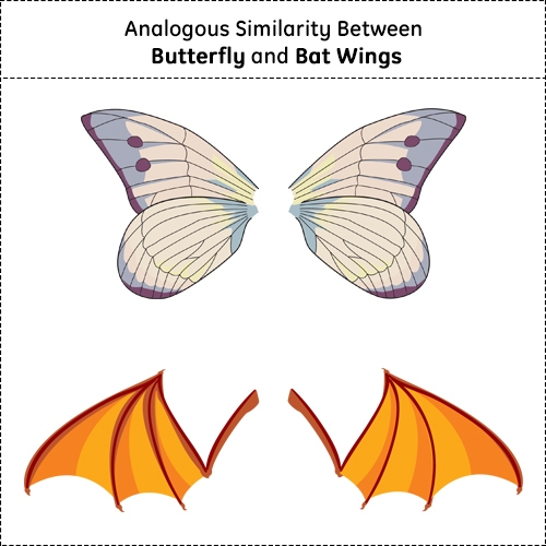 Analogous structures _____.-example-1