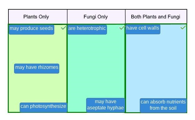 Classify the characteristics by whether they describe plants only, fungi only, or-example-1