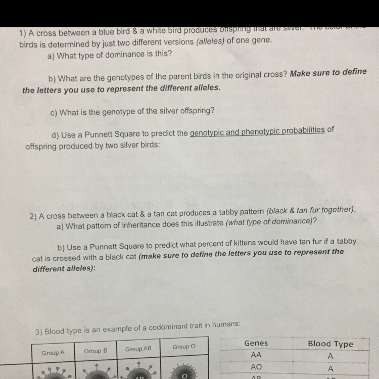 Help with these questions-example-1