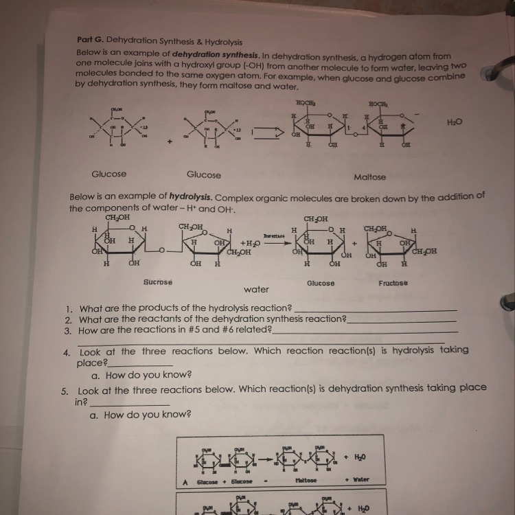 How do I answer numbers 1 through 5-example-1