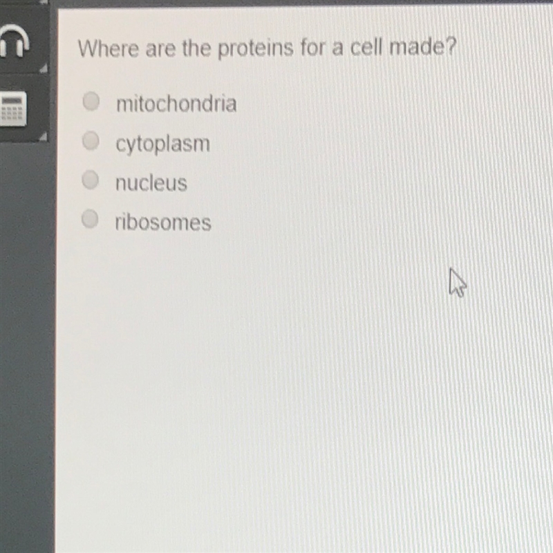 Where are the proteins from a cell made? A)Mitochondria B)cytoplasm C)nucleus D)Ribosomes-example-1