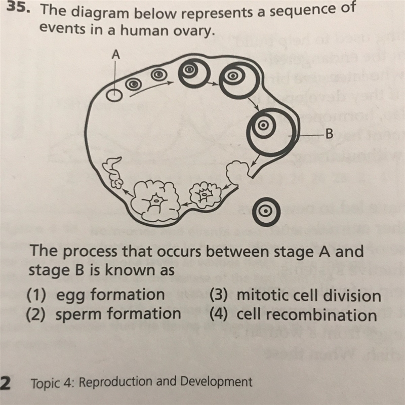 Helppppp pls thank u-example-1