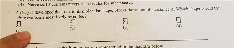 A drug is developed that, due to its molecular shape, blocks the action of substance-example-1