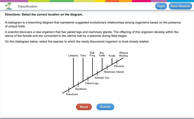 A scientist discovers a new organism that has paired legs and mammary glands. The-example-1