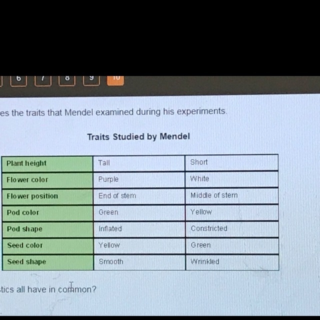 The table below summarizes the traits tht Mendel examined during his experiments? A-example-1