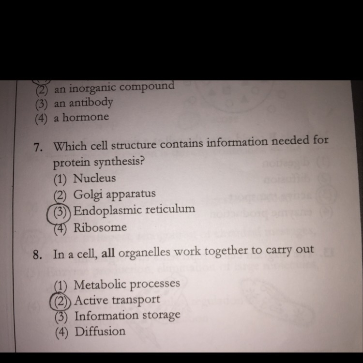 What is the correct answer for number 7 ? Explain why please !!-example-1