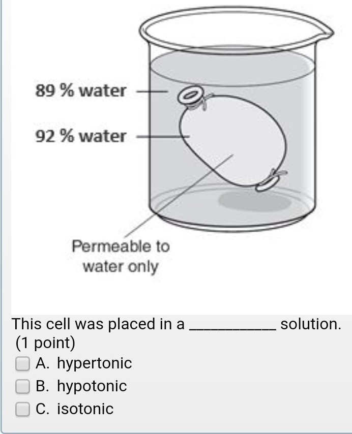 The cell was placed in a _____ solution.-example-1