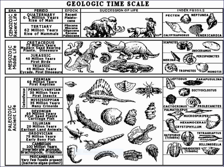 Need help ASAP The image depicts A) that organisms have changed over time B) that-example-1