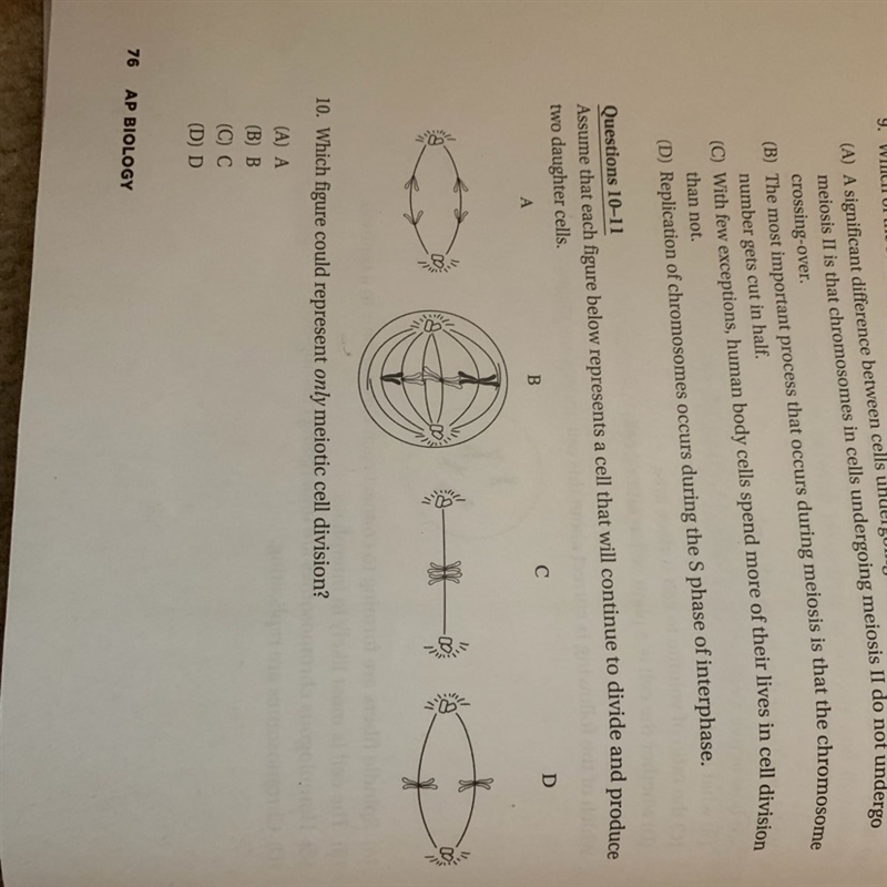 1. Which figure could represent ONLY meiotic cell division? 2. In which figure will-example-1