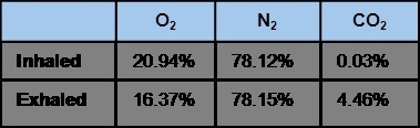 The table shows data about the percentages of gases in air inhaled and exhaled. The-example-1