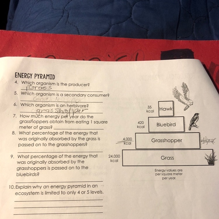 Help me on problem 5 and 7-example-1