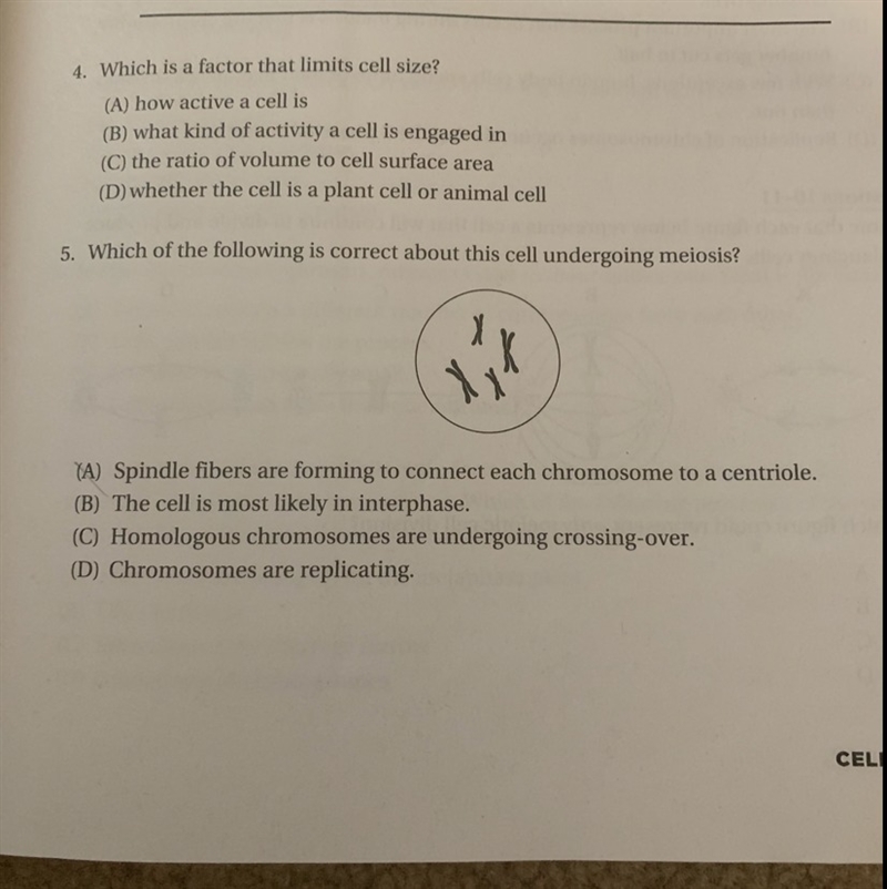 Which of the following is correct about this cell undergoing meiosis? A. Spindle fibers-example-1