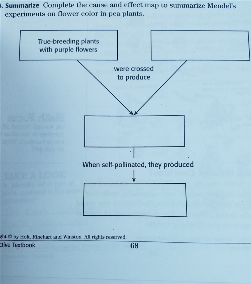 Help please I'm so confused-example-1