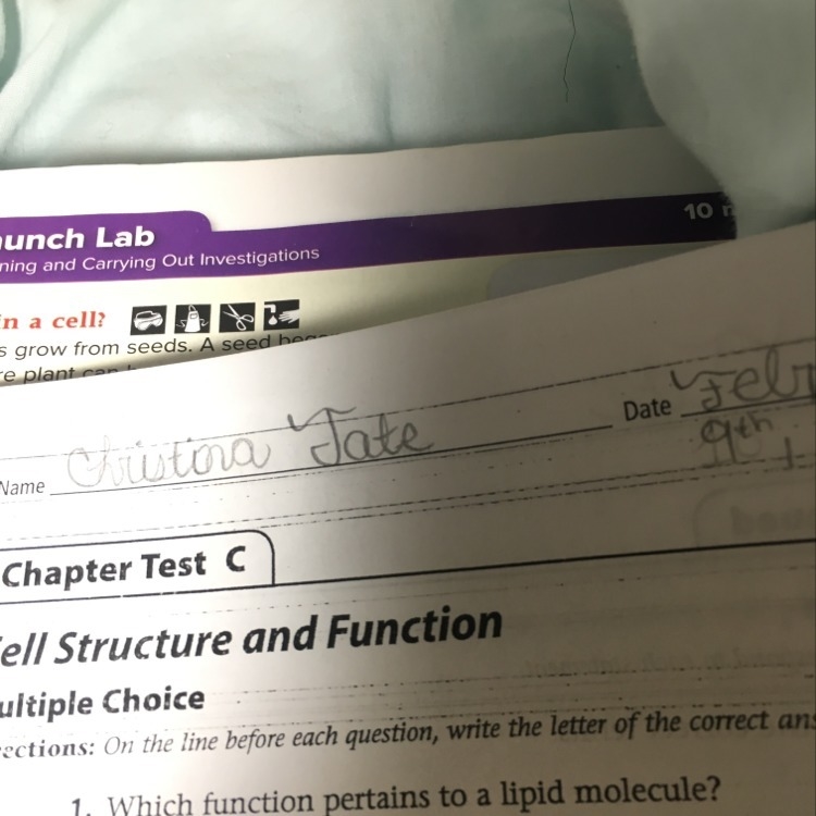 Which function pertains to a lipid molecule?-example-1