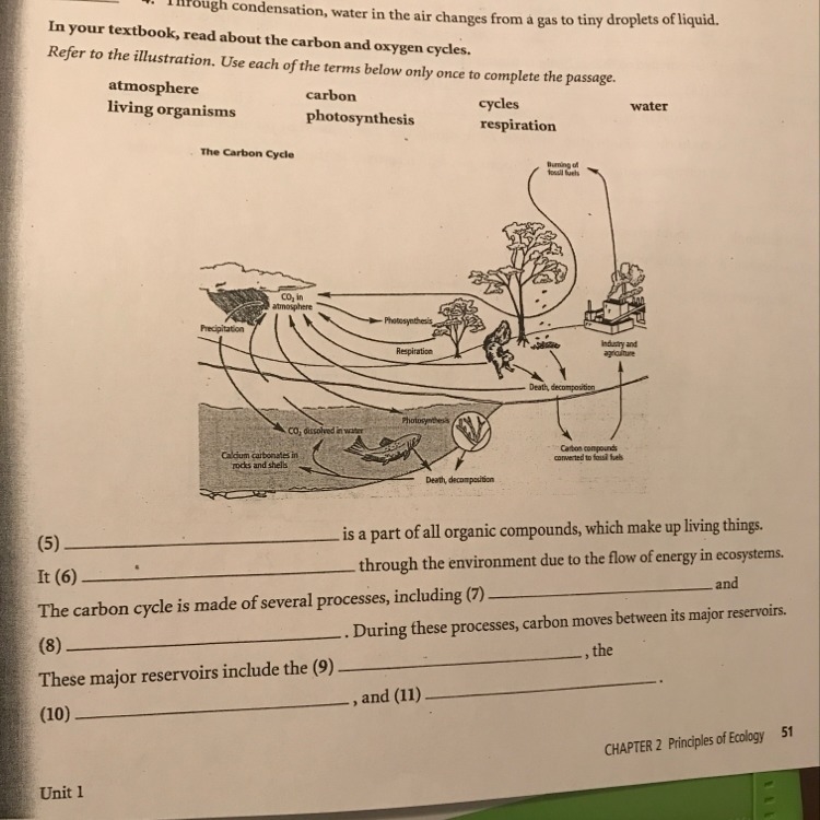 Please help me , fill the empty blanks with the vocabulary words given-example-1