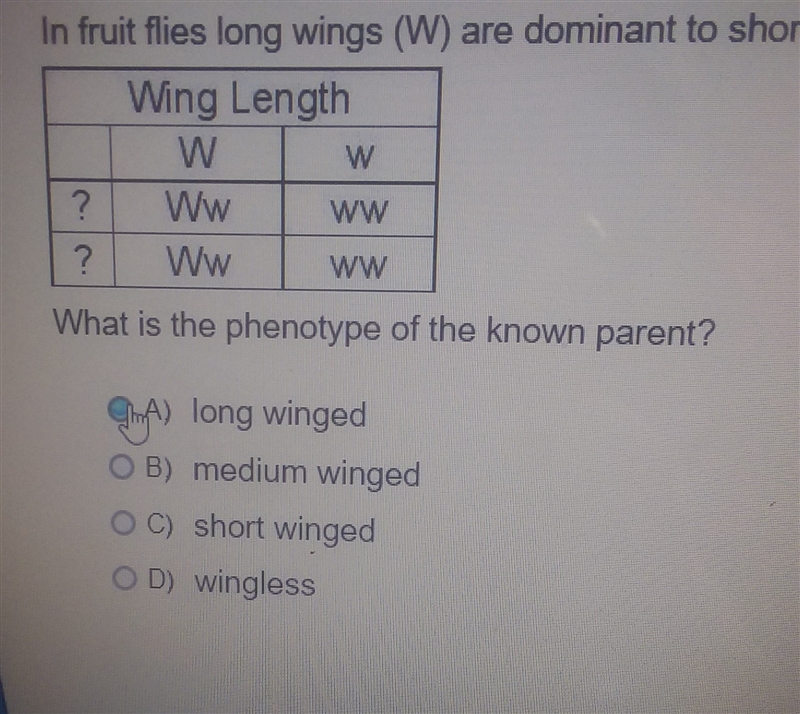 In fruit flies long wings (W) are dominant to short wings (w)-example-1