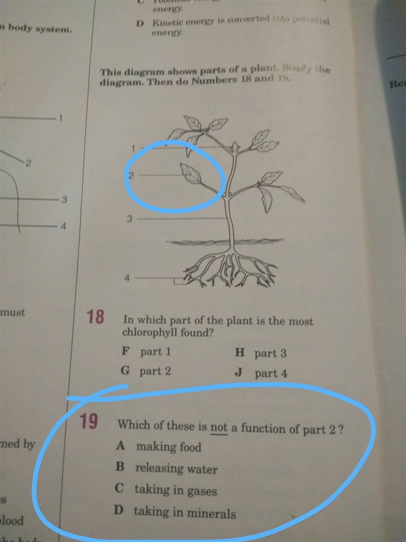 Which of these is NOT a function of part 2-example-1