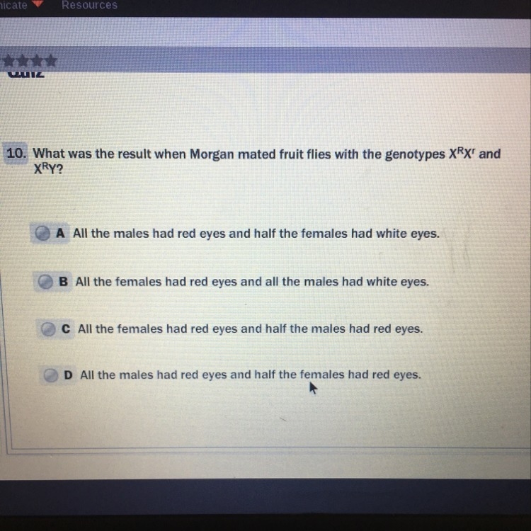 What was the result when Morgan mated fruit flies with the genotype XrXr and XrY I-example-1