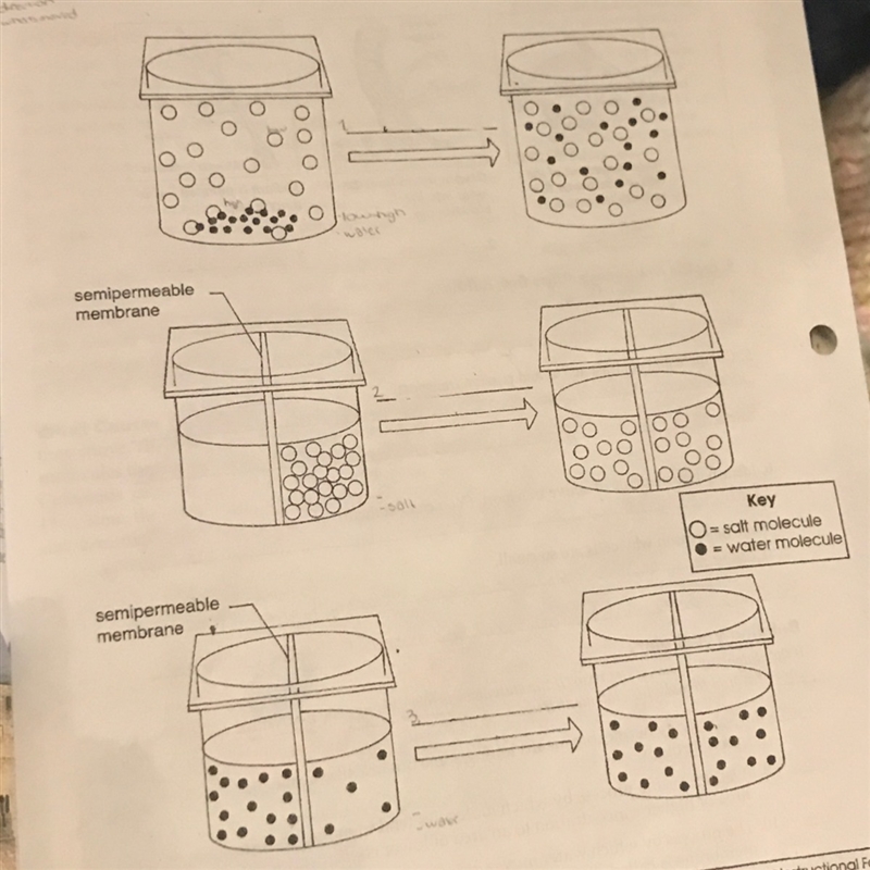 The diagrams below show what each solution would look like after a period of time-example-1