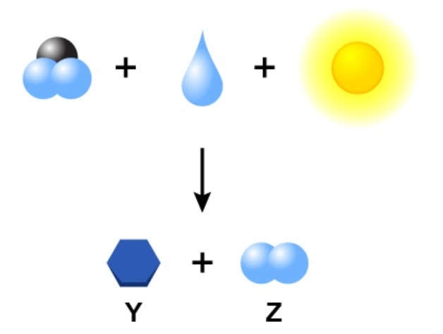 Study the diagram, which represents the general equation for photosynthesis. What-example-1