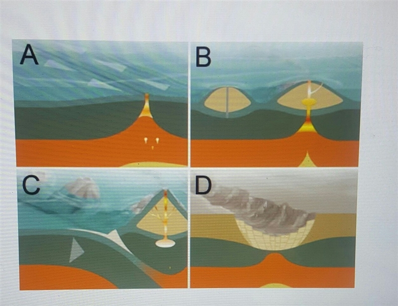 In the illustration, whitch site is an example of a trench? A. B. C. D.-example-1