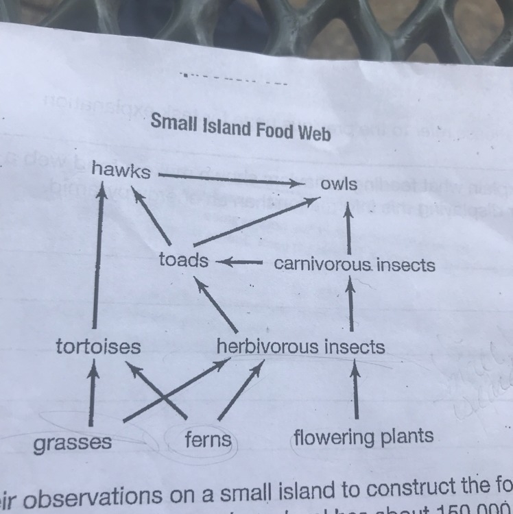 Biologists use their observations on a small island to construct the food web shown-example-1