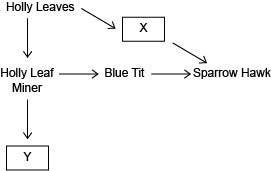 NEED HELP ASAP [ 15 POINTS] If a certain organism is a secondary consumer, what best-example-1