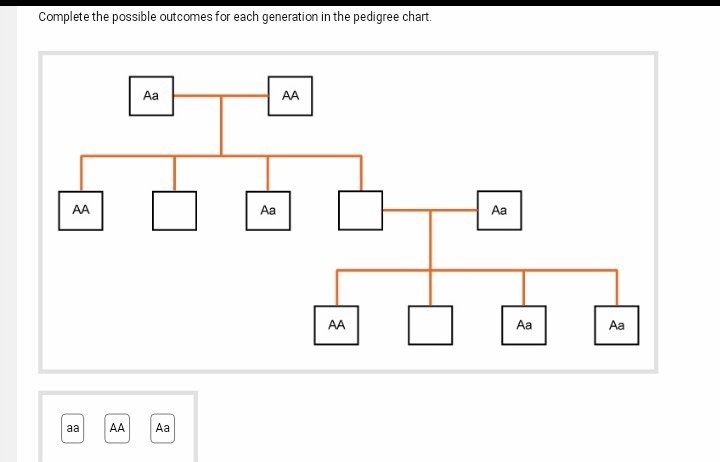 Complete the possible outcomes for each generation-example-1